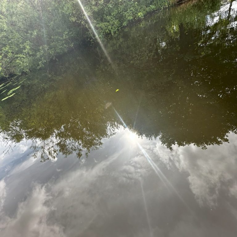 EMDR kann man auch am See in der Sonne in Berlin Schöneberg nähe Innsbrucker Platz machen. EMDR ist ein Teil der Psychotherapie.