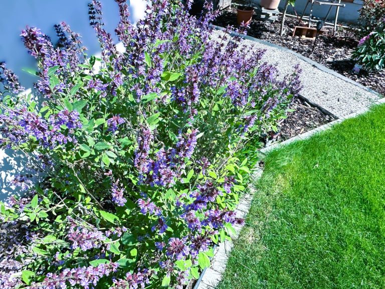 Psychotherapie Balsam wie Lavendel in Berlin Schöneberg nähe Innsbrucker Platz